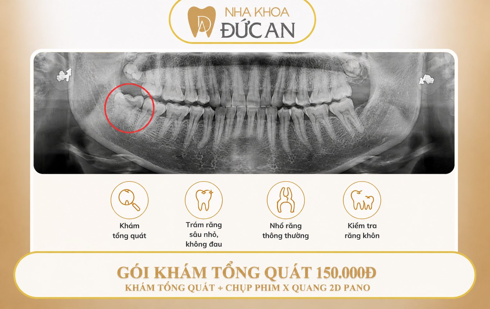 Các gói khám từ tổng quát đến chuyên sâu tại Nha Khoa Đức An Nha Trang